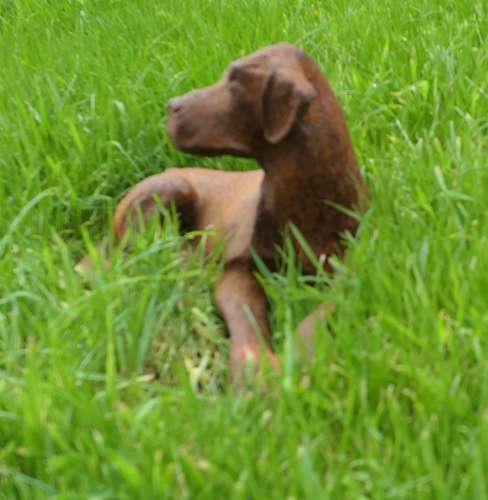 A Cute Labrador Puppy, Door Stop A charming piece for all dog lovers