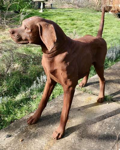 Large Weathered Cast Iron Standing Statue of a Hunting Dog A very handsome Chap