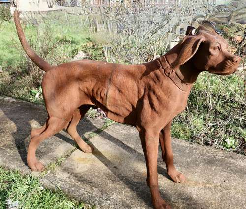 Large Weathered Cast Iron Standing Statue of a Hunting Dog A very handsome Chap