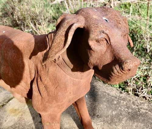 Large Weathered Cast Iron Standing Statue of a Hunting Dog A very handsome Chap