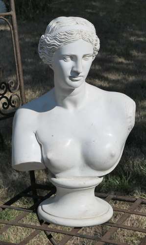Good Plaster Bust of the Venus De Milo