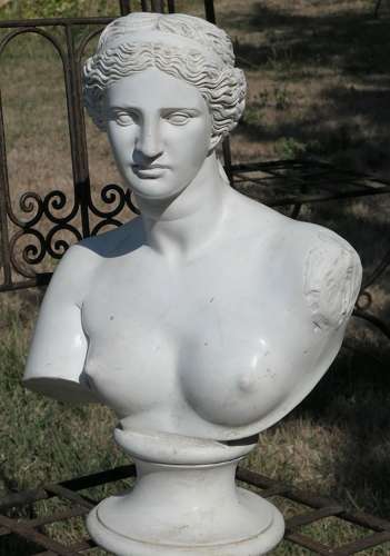 Good Plaster Bust of the Venus De Milo