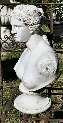 Good Plaster Bust of the Venus De Milo