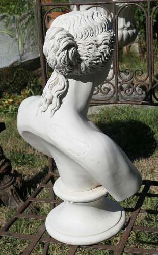 Good Plaster Bust of the Venus De Milo