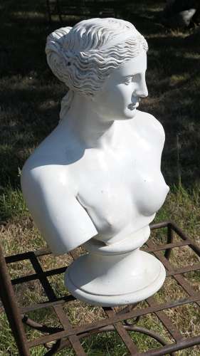 Good Plaster Bust of the Venus De Milo