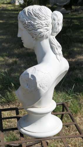 Good Plaster Bust of the Venus De Milo