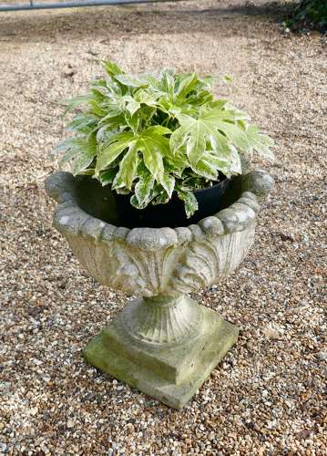 Acanthus Leaf Weathered Garden Planter