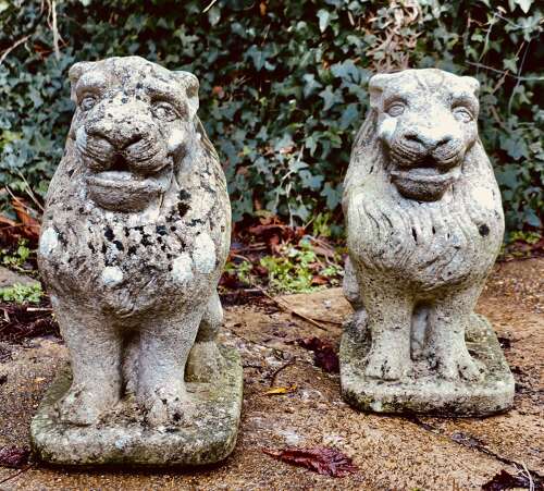 Pair of Stone Lion Guardians  These are weathered Statues of 2 Lions
