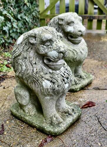 Pair of Stone Lion Guardians  These are weathered Statues of 2 Lions