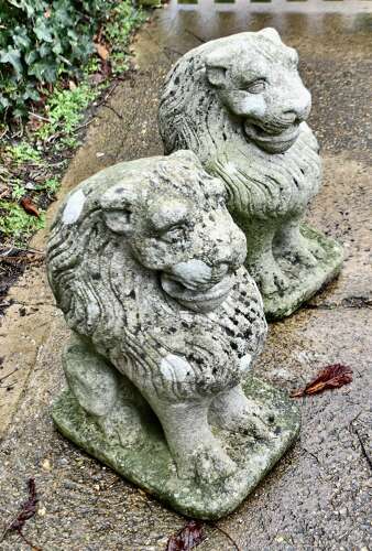 Pair of Stone Lion Guardians  These are weathered Statues of 2 Lions
