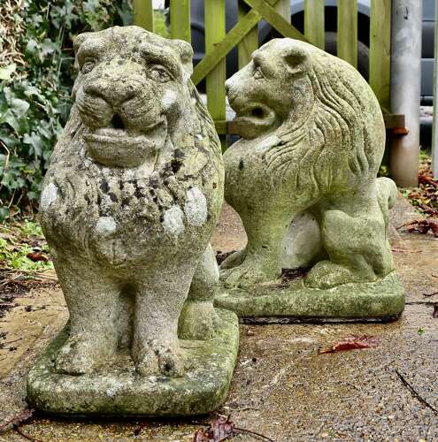 Pair of Stone Lion Guardians  These are weathered Statues of 2 Lions