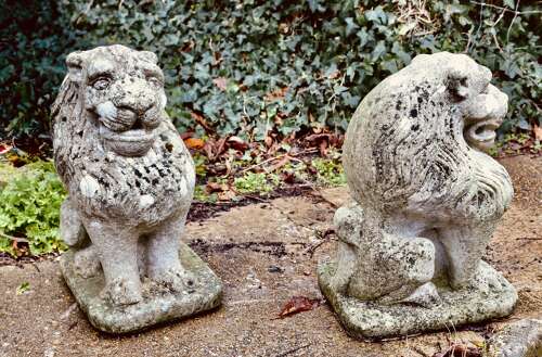 Pair of Stone Lion Guardians  These are weathered Statues of 2 Lions