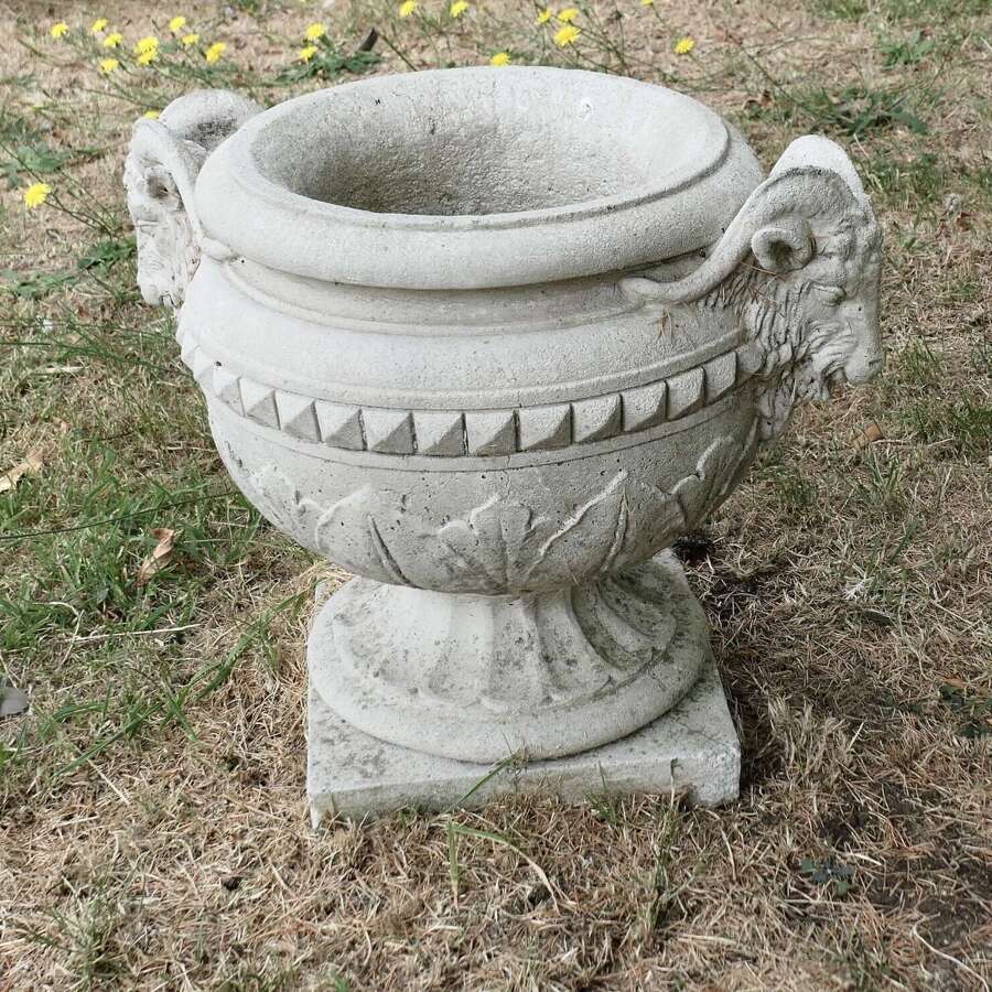 Ram&rsquo;s Head Planter Superb Weathered Garden Urn  A Beautiful Garden Urn decorated with Ram&rsquo;